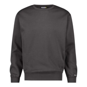 https://pattyn-werkkledij.be/wp-content/uploads/2024/01/dassy-lionel-sweatshirt-cement-grey-front-300x300.jpeg
